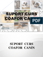 Suport Curs Canin PDF