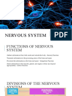 Nervous System: Sharon Reyes Nicole Mackay Julio Cerrato 11B