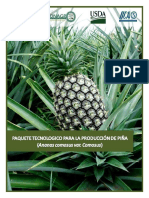 PAQUETE-TECNOLOGICO-DE-PINA-1.pdf