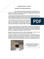 Lesiones típicas y atípicas de disparos a corta distancia