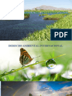 Presentación - Derecho Ambiental Internacional