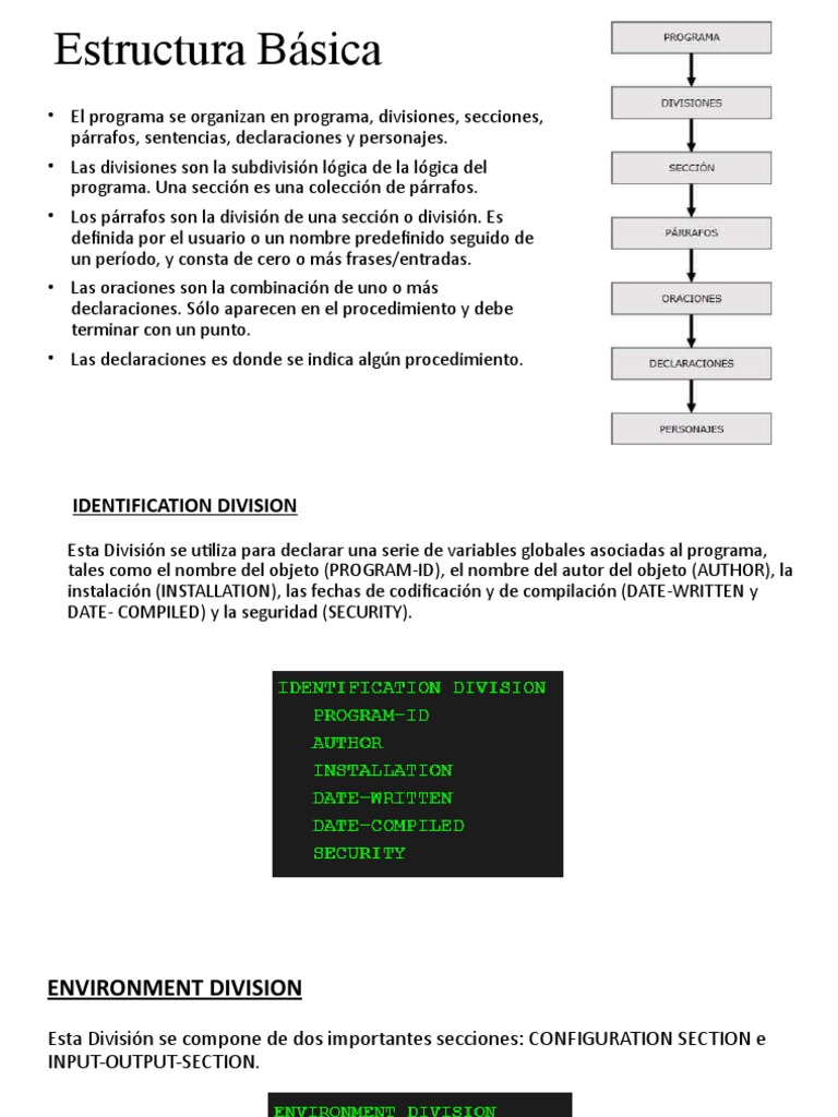 Estructura Básica de Cobol | PDF | Programa de computadora | Programación