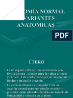Anatomia Normal y Variantes Anatomicas