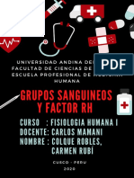 Determinacion de Grupo Sanguineo - Colque Robles - Viernes 21-23hrs