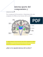 Cápsula Interna