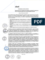 COMITE DE IMPLEMENTACION SGSS.pdf
