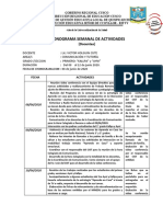 VHC CRONOGRAMA SEMANAL 10