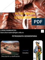 Presentación Sedimentaria y Origen NARRADA
