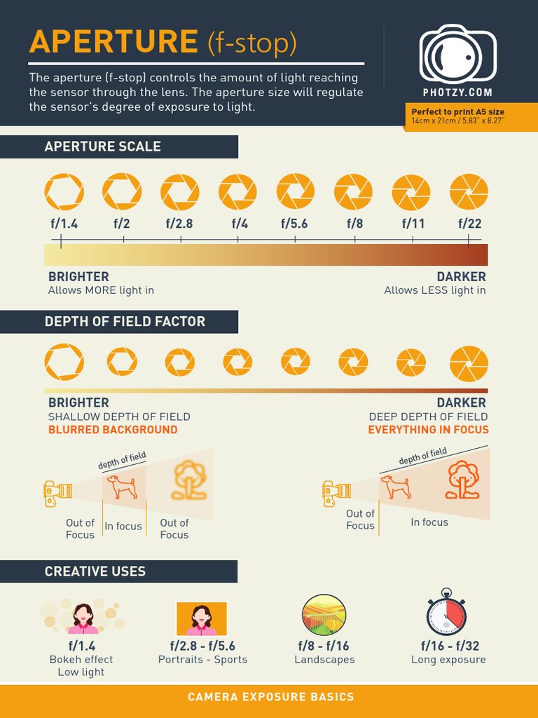 Understanding Aperture and Exposure | PDF