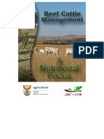 Beef Cattle Management.pdf