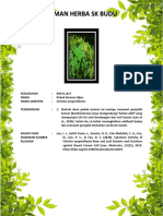 B17 Pokok Rerama Hijau PDF