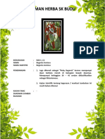 C2 BEGONIA ACETOSA.pdf