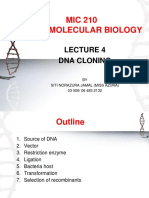 MIC 210 Basic Molecular Biology: Dna Cloning