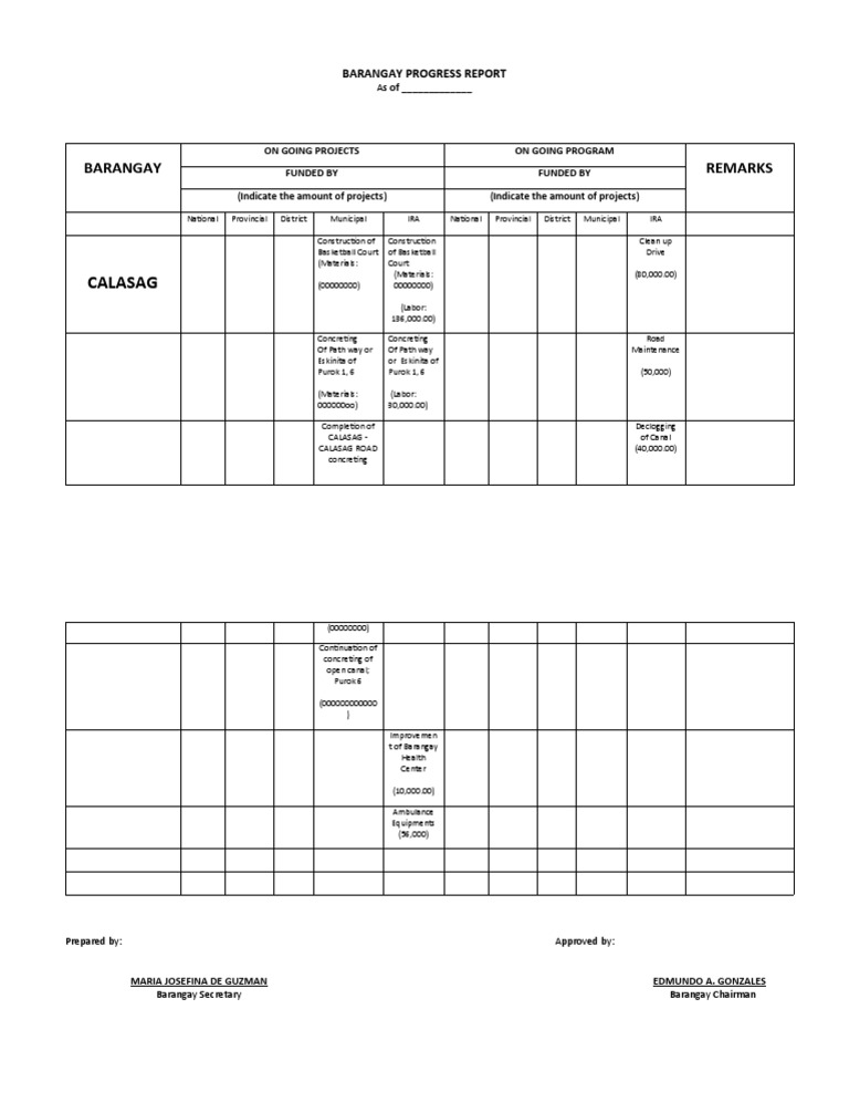 Barangay Progress Report Template | PDF