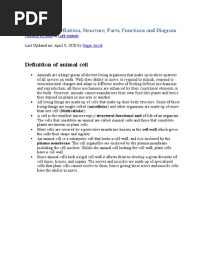 Animal Cell Definition Structure Parts Functions And Diagram Pdf Eukaryotes Cell Biology