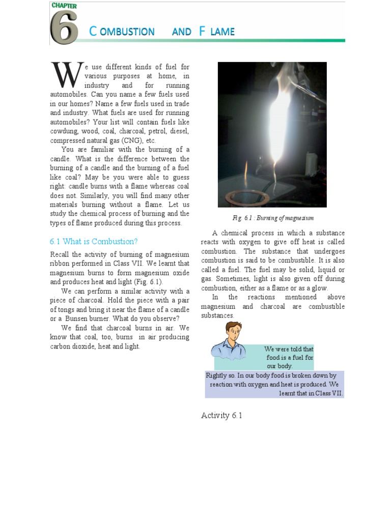 8 Science NCERT Chapter 6 | PDF | Combustion | Fires