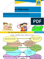 Pengkajian Ibu Hamil 13 Domain Nanda