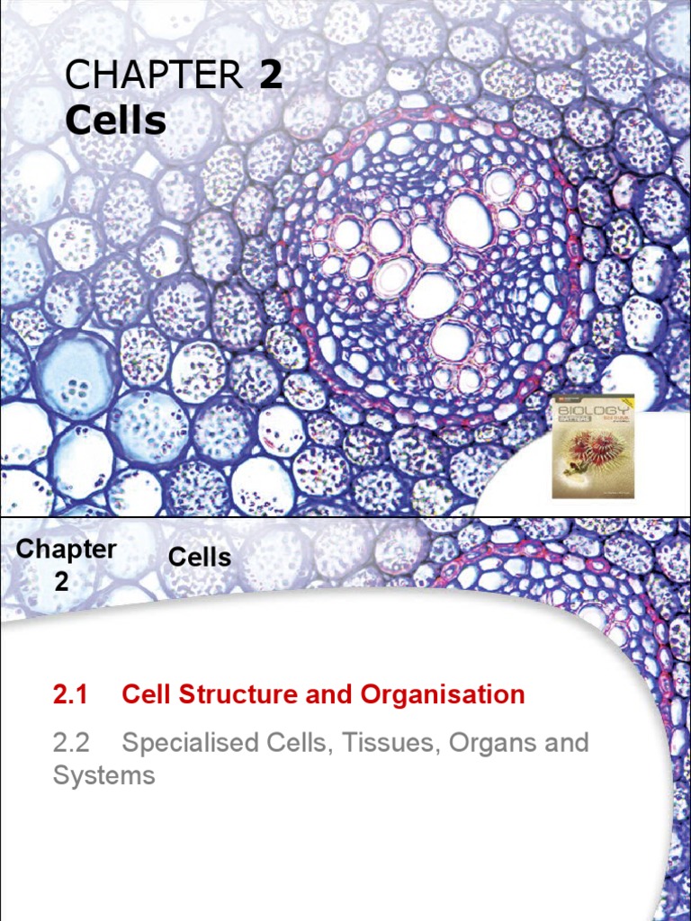 bm-ppt-lesson-slides-c02-pdf-endoplasmic-reticulum-tissue