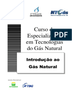 INTRODUÇÃO AO GÁS NATURAL - CTGÁS.pdf