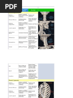 Upper Extremity Special Tests Guide | PDF | Anatomical Terms Of Motion ...
