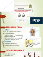 Tipos de Ergonomia Según International Ergonomics Association-Iea