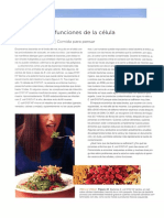 Estructura y función de la célula.pdf