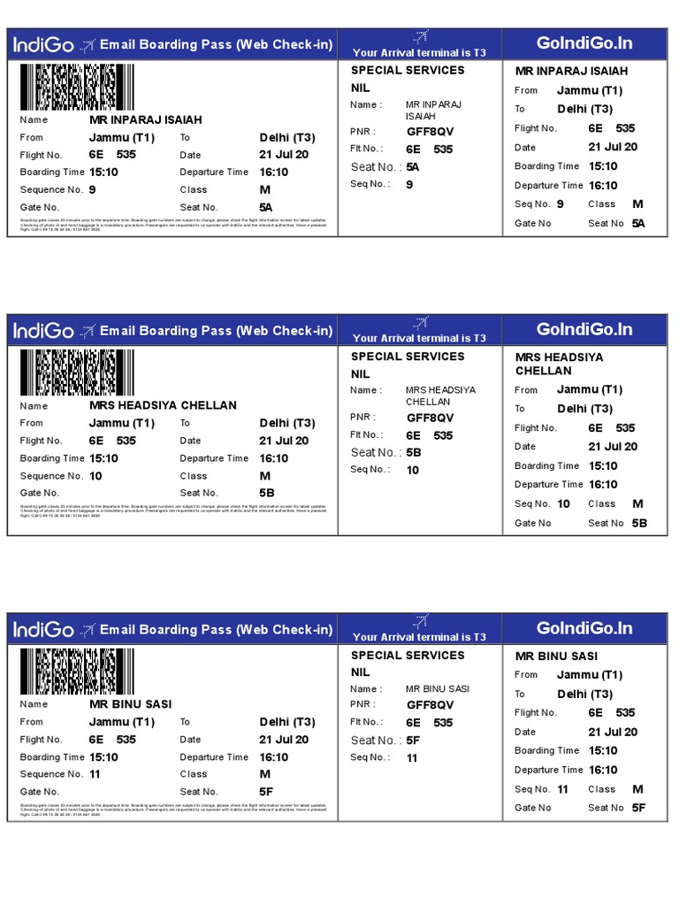 Goindigo In Email Boarding Pass ( Check In) PDF Aviation
