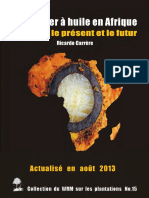 Palmier A Huile en Afrique 2013