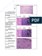 Hyaline Cartilage