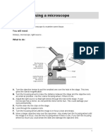 Using A Microscope: Worksheet 2.1b