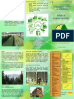 Ingeniería Forestal UMSS