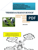 primerosauxiliosenbovinosppteerr-121210121729-phpapp02.pdf