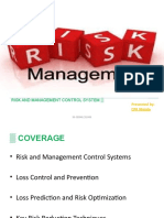 5.risk and Management Control Systems