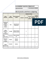 Matriz de Jerarquizacion Con Medidas de Prevencion y Peligro de Acuerdo A Los Riesgos