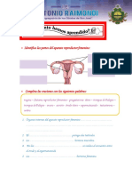Actividad Aparato Reproductor PDF