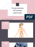 Glandulas en Geriatria