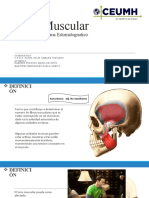 Tono Muscular en Odontologia. 