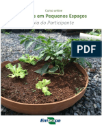 Guia Do Participante PDF