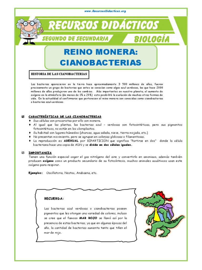 Cianobacterias: Historia y Función en el Reino Monera | PDF | Cianobacterias  | Las bacterias