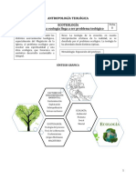 ECOTEOLOGÍA (Ficha 8)