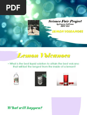 science fair project