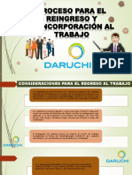 Proceso para El Reingreso y Reincorporación Al Trabajo Daruchi PDF