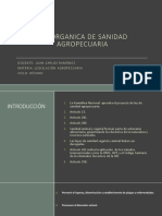 Losa PDF