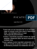 Ficatul: Agapie Elena Gr.301