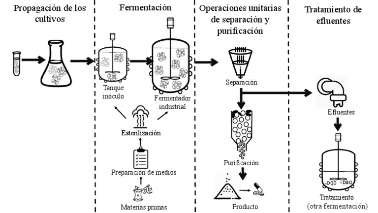 Esquema de Fermentación Industrial | PDF