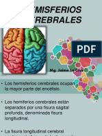 Semana 10 Hemisferios Cerebrales y Lobulos Cerebrales PDF