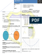 Guia Grado 11 Calculo IETNSL PDF