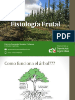 Fisiología Frutal P.Morales 2016