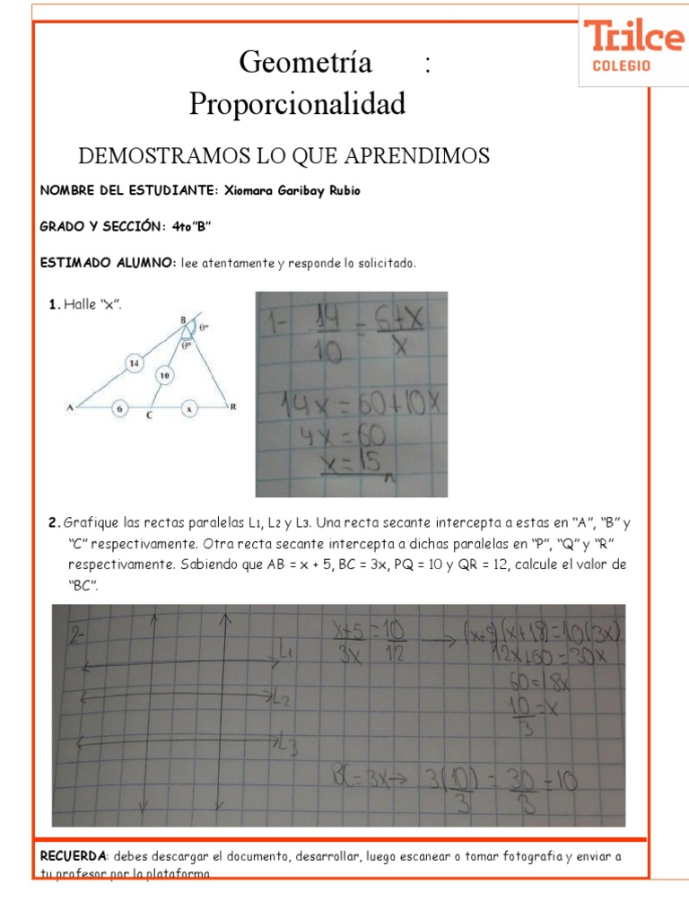 Ejercicios de Geometría para Estudiantes | PDF