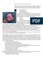 02-13 Virologia basica y sistemas de replicacion viral.docx